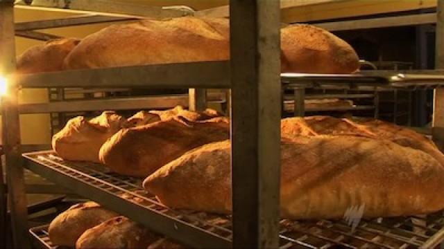 The Bakers