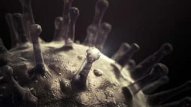 Influenza