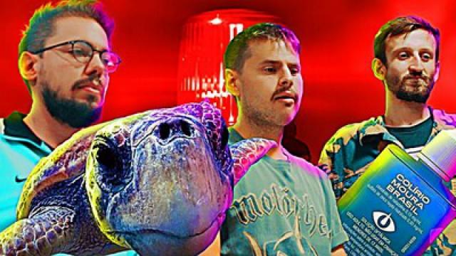 TCC DE EMERGÊNCIA - TARTARUGA, COURO E DIREITOS HUMANOS