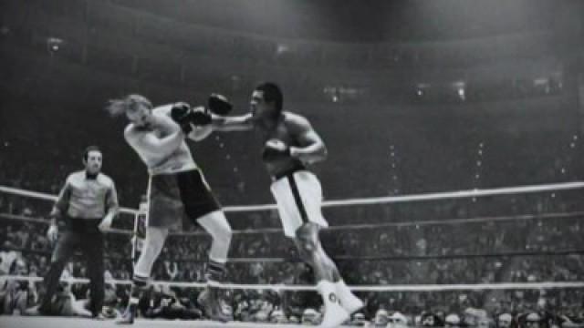 The Real Rocky