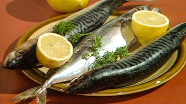 Fish