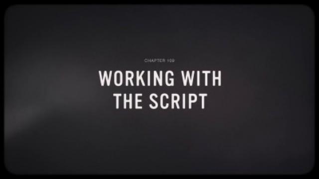 Working with the Script
