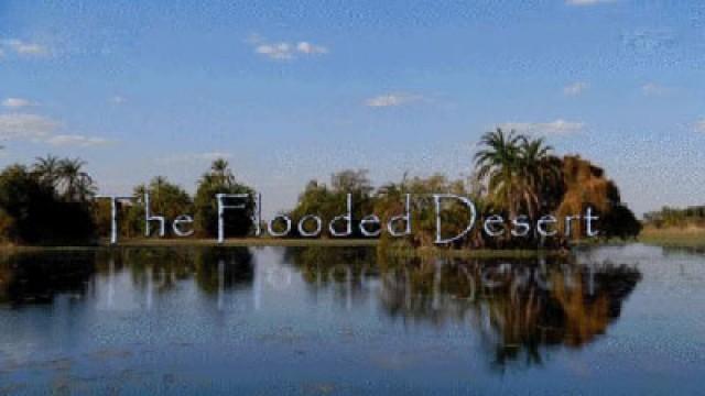 The Flooded Desert