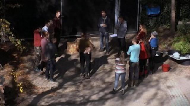 Aflevering 95