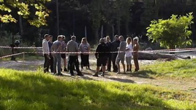 Aflevering 98