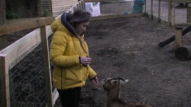 Aflevering 27