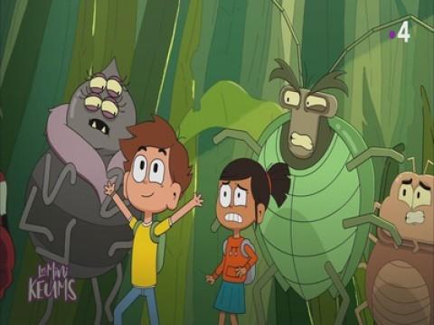 The Insects