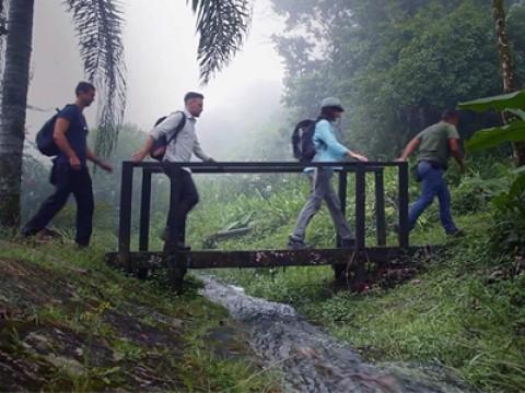 Springs of Paranapiacaba