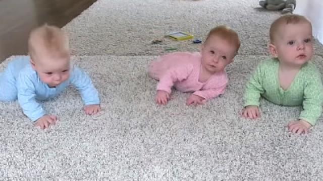 Baby Triplets Having a Race!