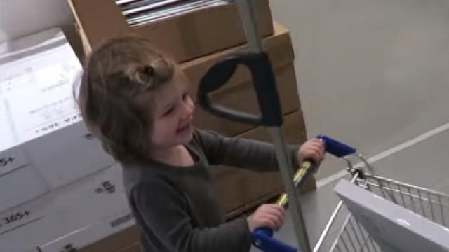 Taking Six Kids to IKEA!