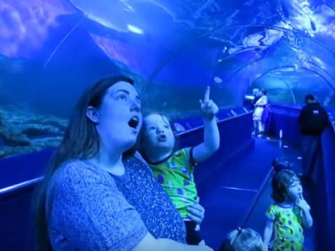 Amazing Underwater Adventure!