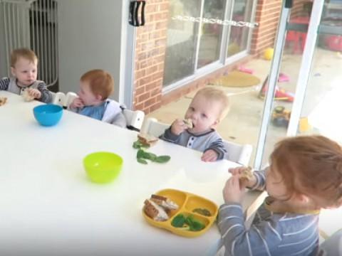 Healthy Lunch For Six Kids! (Aged 1-4)