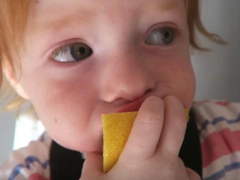 Baby Triplets' First Lemon!