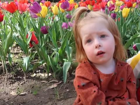 Little Girl Reacts to Seeing Tulips (Compared to Her 5 Brothers)