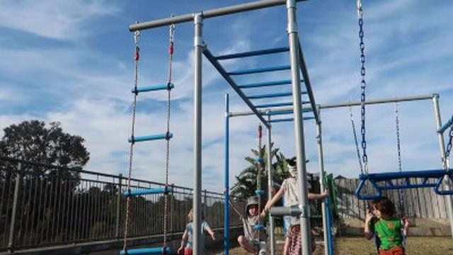 Something New & AMAZING in Our Yard!