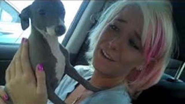 Getting My Italian Greyhound