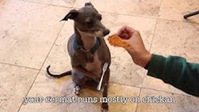 How To Care For Your Cermet