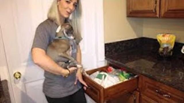 House Tour Vlog