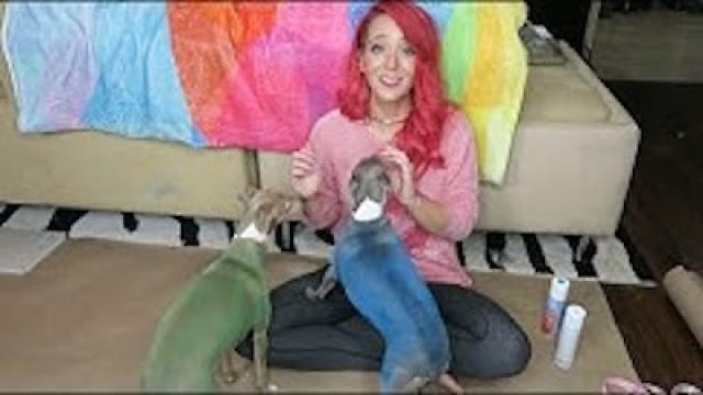 Jenna's Ratchet Dog Salon