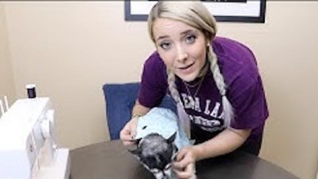 Jenna's Ratchet Fashion Boutique: Dog Costumes