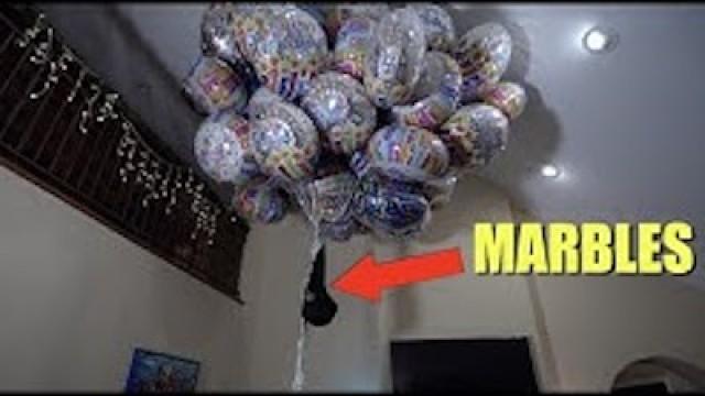 How Many Balloons Will It Take To Make My Dog Fly