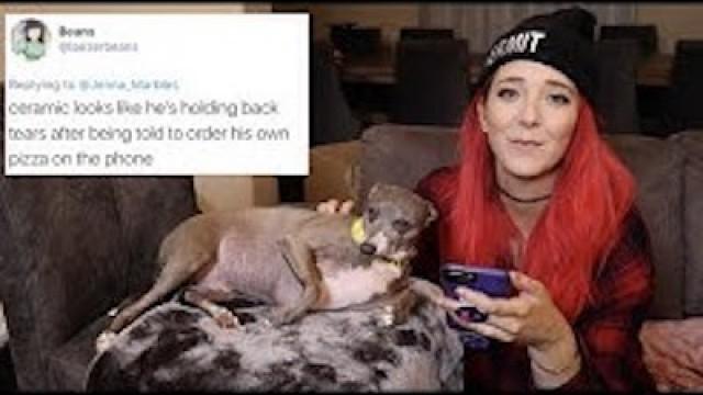 Reading Mean Comments About My Dogs 2