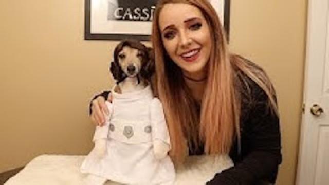 My Dogs Try On Halloween Costumes