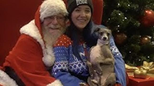 Taking My Dog To Meet Santa