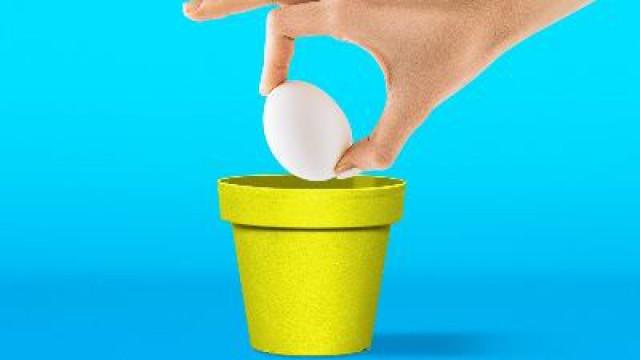 20 Astuces pour tes plantes qui donneront de la vie chez toi