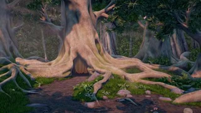 Un albero per due