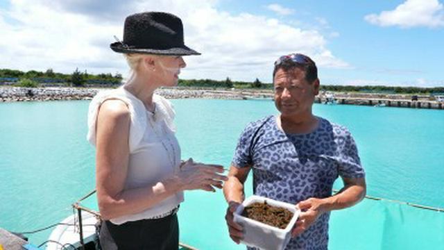 Medical Frontiers Special - Search for Superfoods in Okinawa