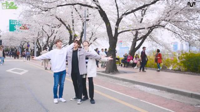 MYTEEN SHOW EP.78 - MYTODAY : 벚꽃과 함께 했나봄