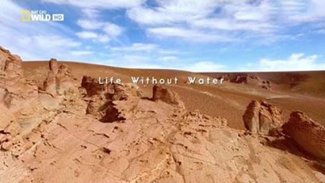 Life without Water