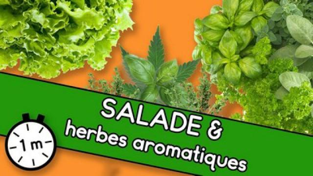 Salade & herbes aromatiques - Astuce YouCook