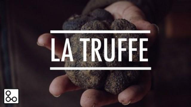 La truffe noire du Périgord - Documentaire YouCook