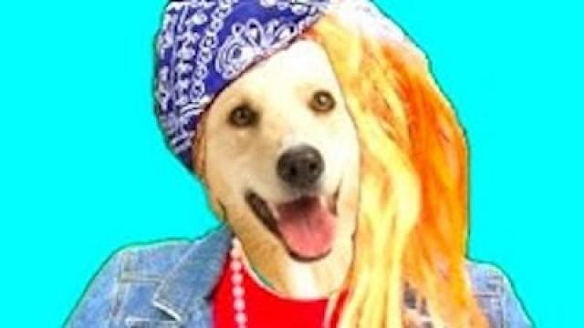 DOGGY SHANANAY!!!! : Chocolate Sunday #8