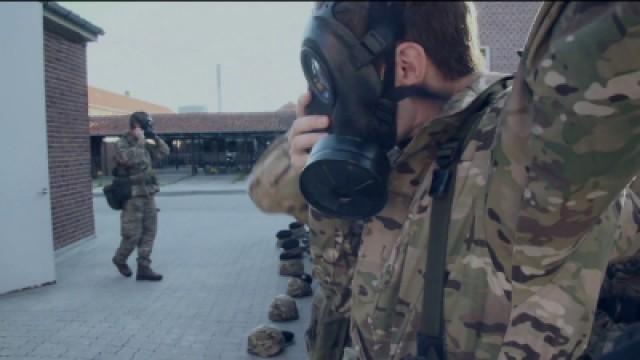 Afsnit 2