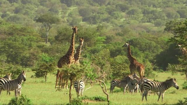 Kenya