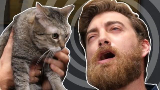 Rhett Gets Hypnotised to Love Cats