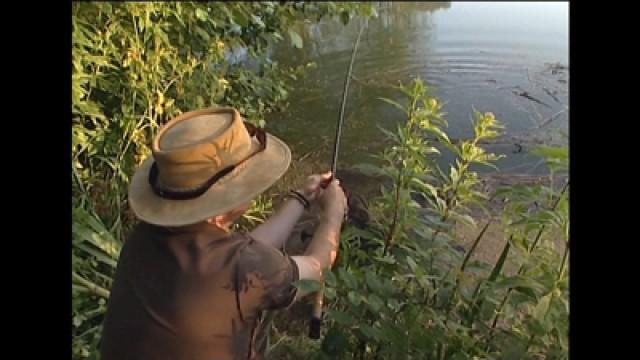 Floater Fishing for Carp