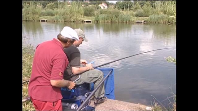 Carp on the Pole