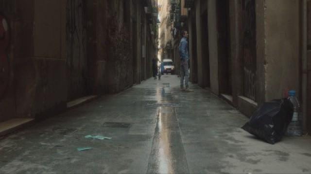 Scienza o arte