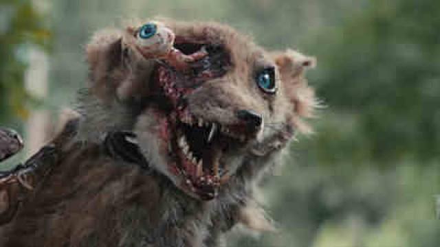Borax et mort aux rats