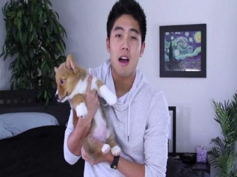 New Puppy!