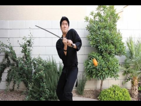 Fruit Ninja FAIL