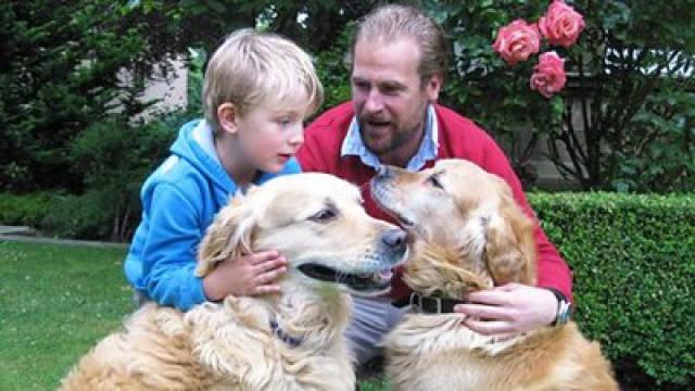 Sylvan's Knight Adventure