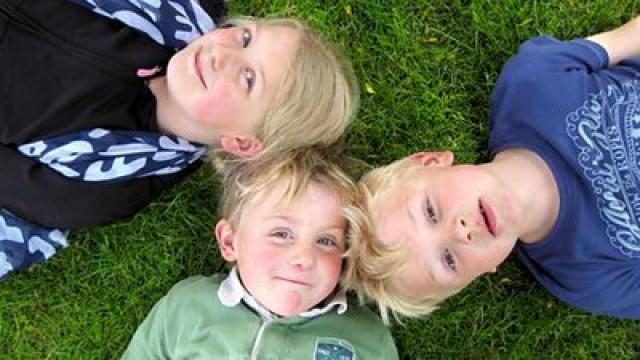 Sylvan's Garden Picture