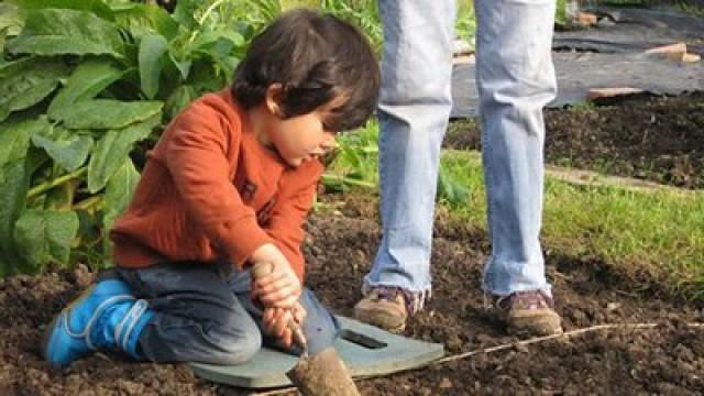 Sunday at Raphael and Eli's House