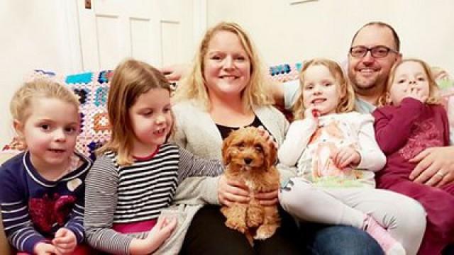 Daisy and Lily Get a Puppy