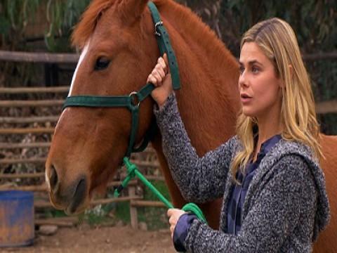El caballo de Oscar León